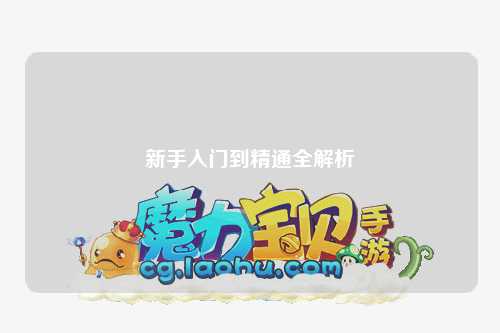 新手入门到精通全解析