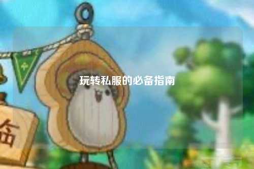 玩转私服的必备指南