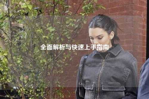 全面解析与快速上手指南