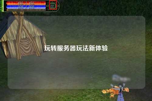 玩转服务器玩法新体验