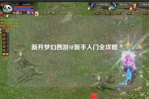 新开梦幻西游SF新手入门全攻略