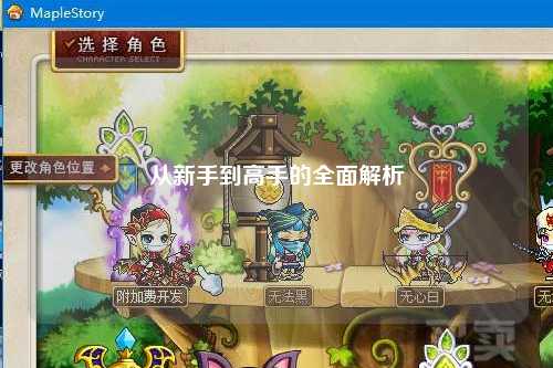 从新手到高手的全面解析