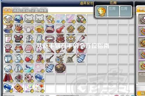 从新手到高手的全方位指南