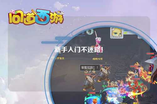 新手入门不迷路！