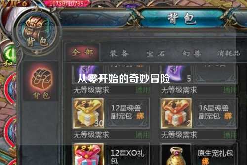 从零开始的奇妙冒险