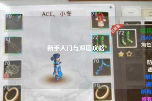 新手入门与深度攻略