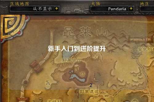 新手入门到进阶提升