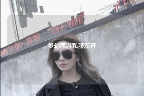 梦幻西游私服新开