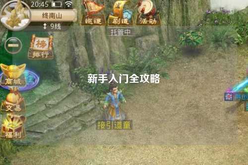 新手入门全攻略