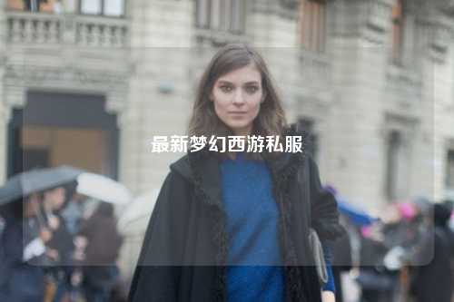 最新梦幻西游私服