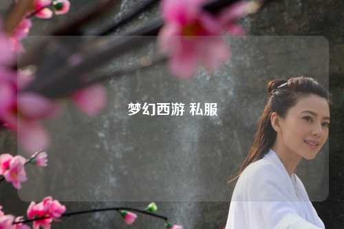 梦幻西游 私服