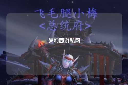 梦幻西游私网