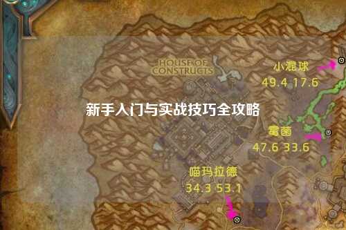 新手入门与实战技巧全攻略