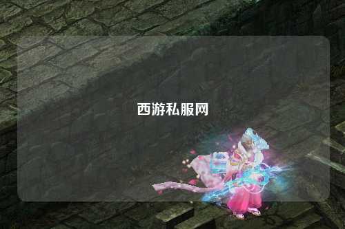 西游私服网