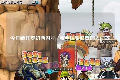 今日新开梦幻西游SF，新手玩家必看的入门攻略！