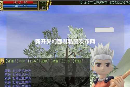 新开梦幻西游私服发布网