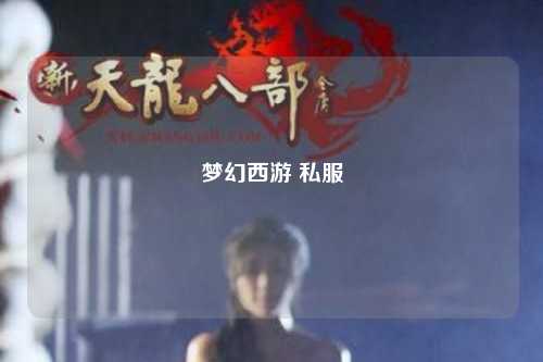 梦幻西游 私服