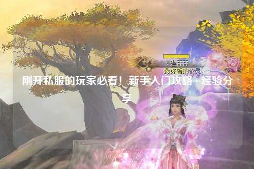 刚开私服的玩家必看！新手入门攻略+经验分享