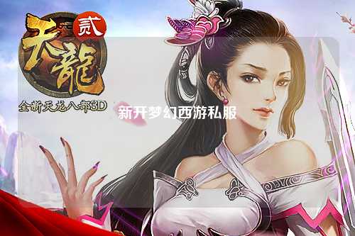 新开梦幻西游私服