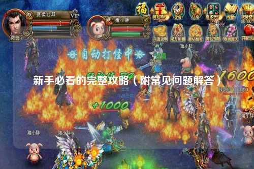 新手必看的完整攻略（附常见问题解答）